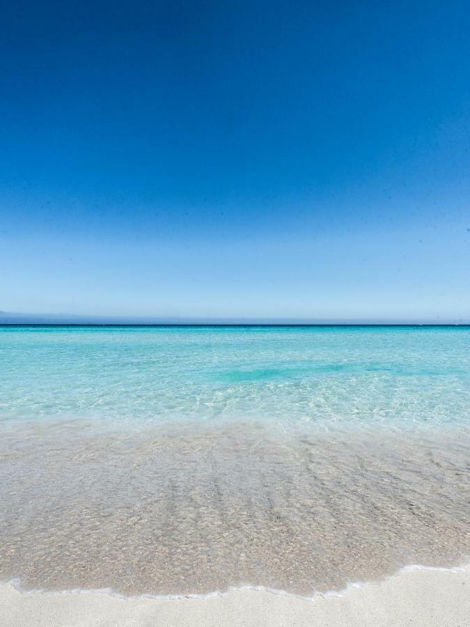פלרמו Casa Con Terrazza Sul Mare All'Addaura מראה חיצוני תמונה